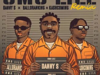 Danny S – Omo Lile (Remix) Ft. Balloranking & Kashcoming